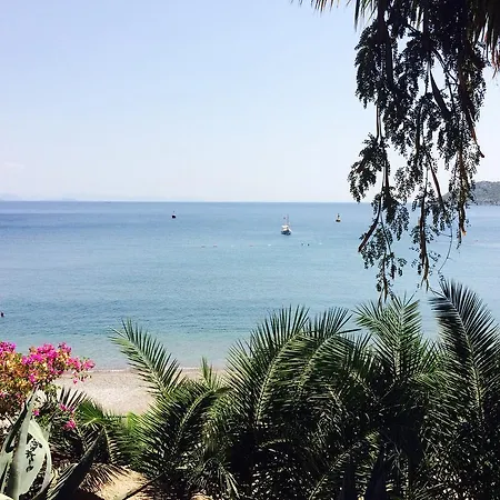 Semesteranläggning (resort) Pine Beach Boutique Turunç