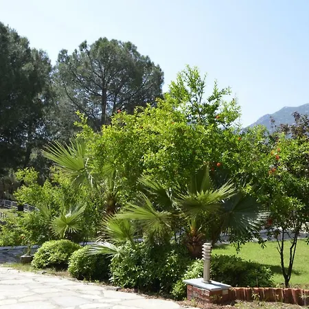 Pine Beach Boutique Semesteranläggning (resort) Turunç